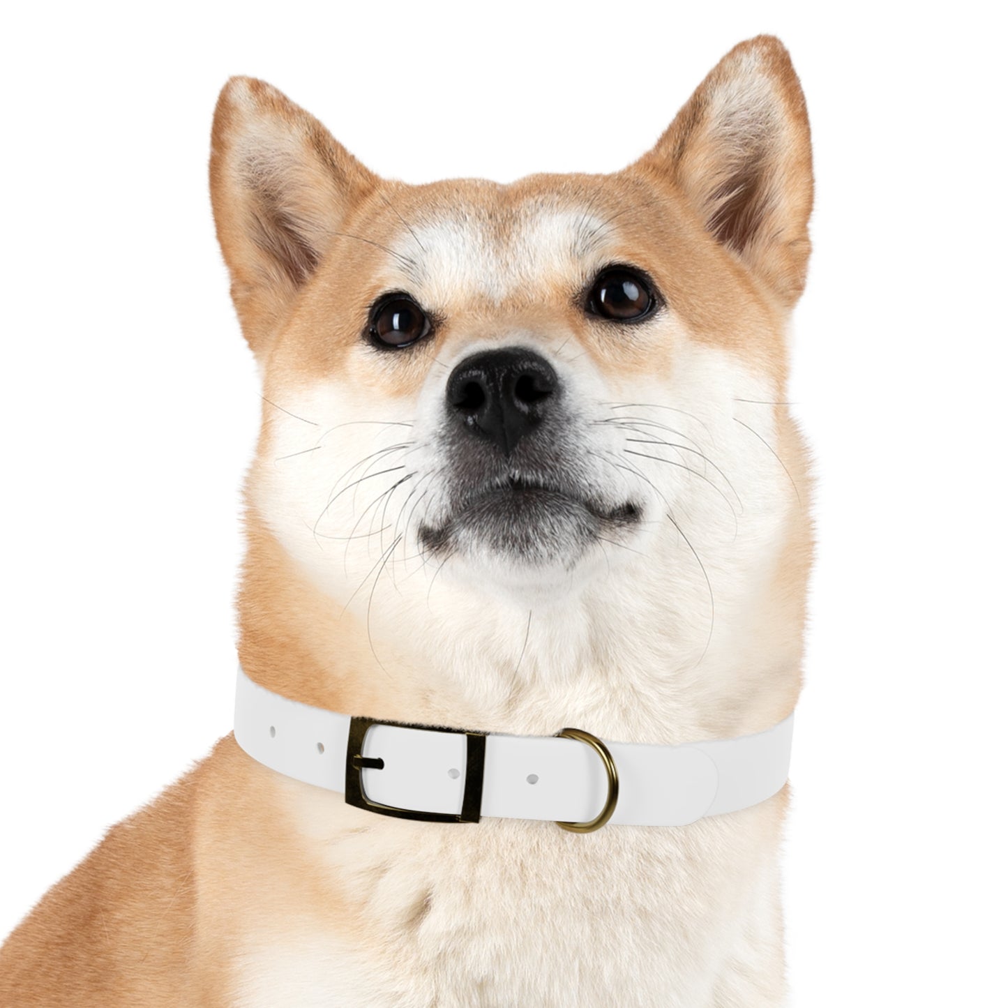 UBIX.Network Dog Collar