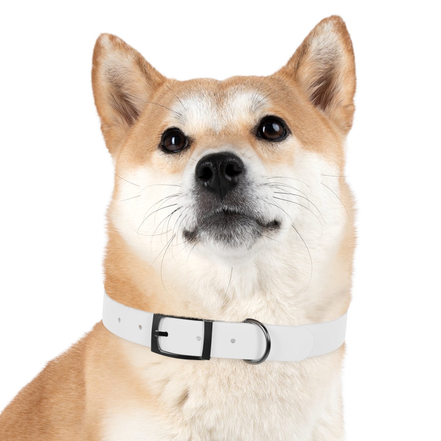 UBIX.Network Dog Collar